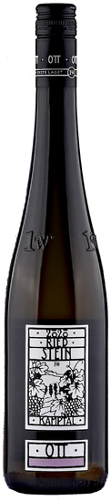 2020 Bernhard Ott, Gruner Veltliner "Stein" (Ø)